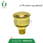 گریس خور ( فلزی ) پمپ سمپاش 45 بار