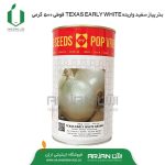 بذر پیاز سفید واریته TEXAS EARLY WHITE