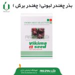 بذر چغندر لبوئی(چغندر برش) VIKIMA