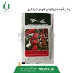 بذر گوجه زیتونی قرمز درختی ( 50 عددی )