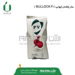 بذر چغندر لبوئی ( BULLOCK F1 )