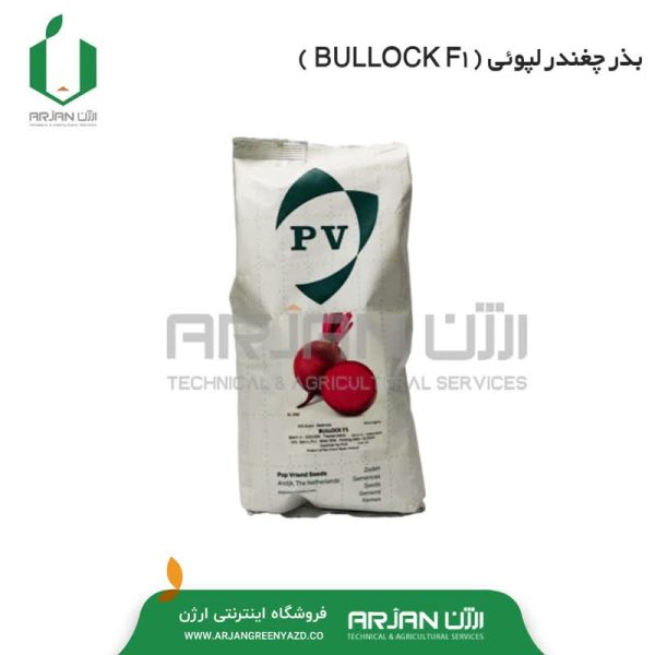 بذر چغندر لبوئی ( BULLOCK F1 )