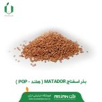 بذر اسفناج MATADOR ( هلند _ POP )