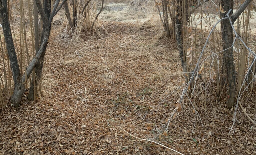 نمونه‌برداری از آب برای آزمایش