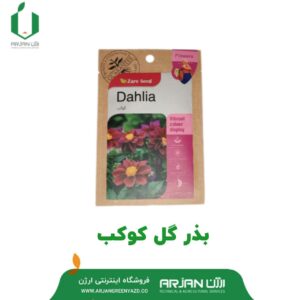 بذر گل کوکب