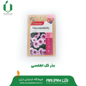 بذر گل اطلسی