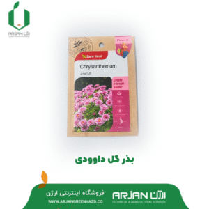 بذر گل داوودی